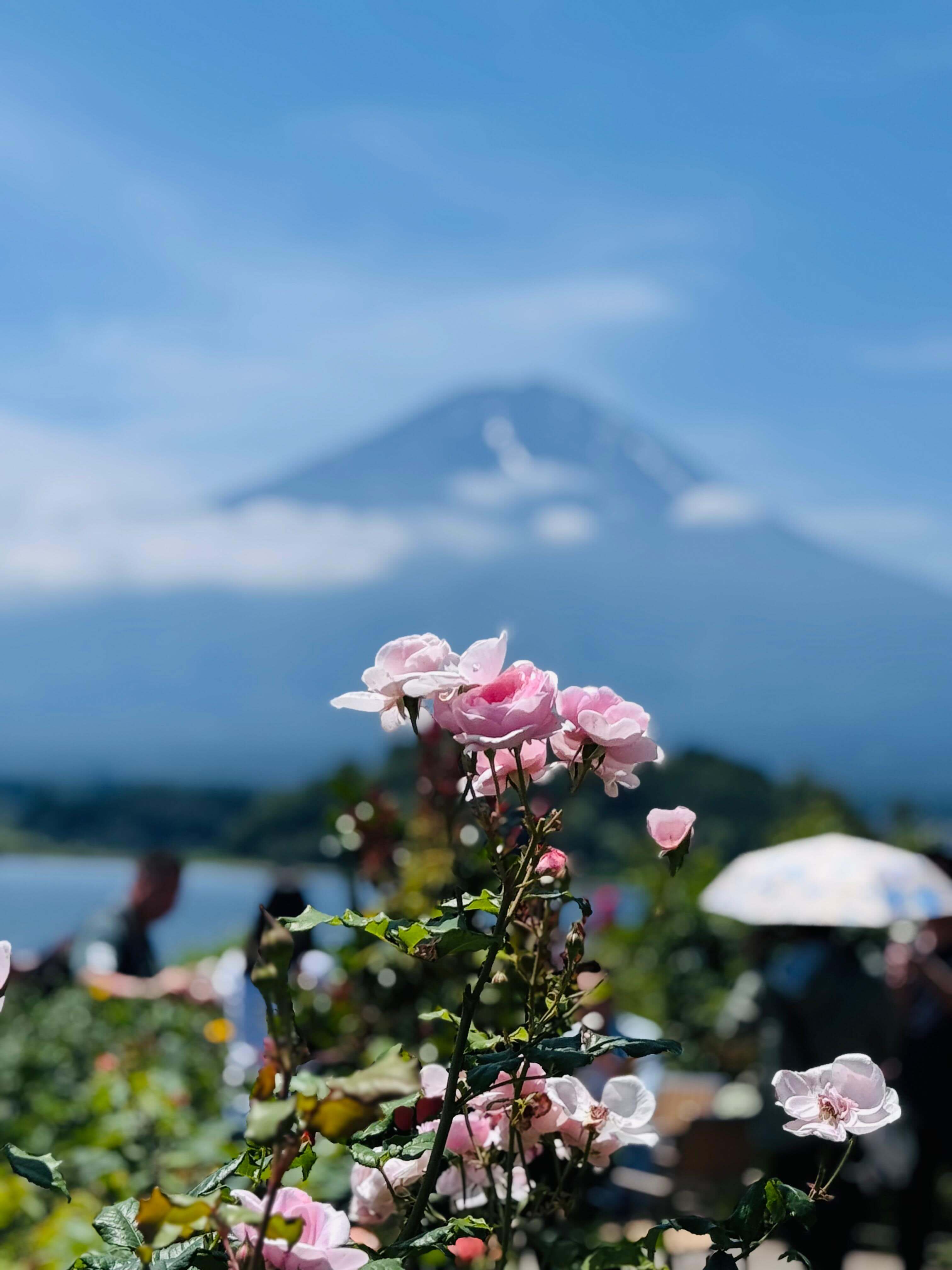 Mount Fuji Tour