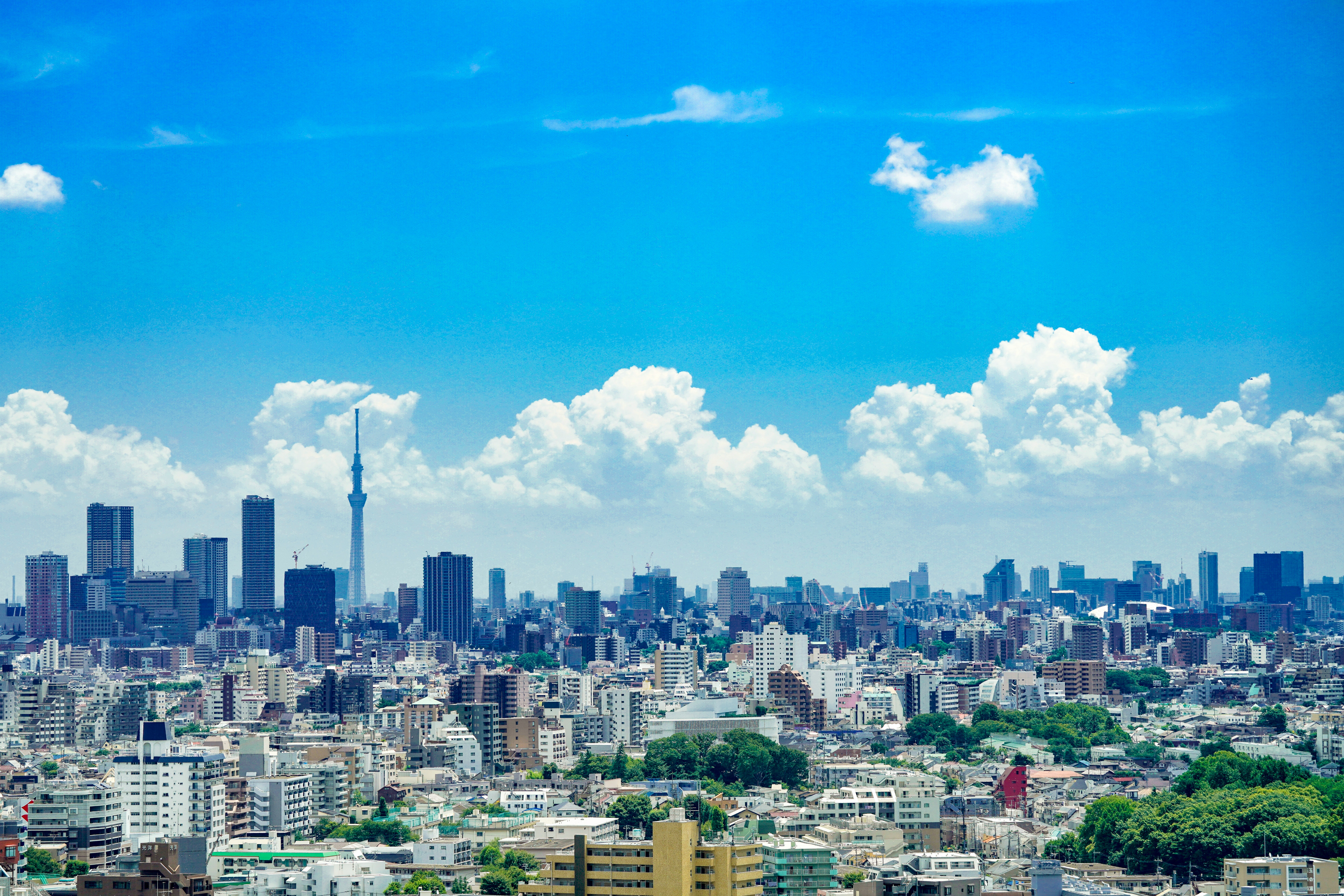 Tokyo Day Tour