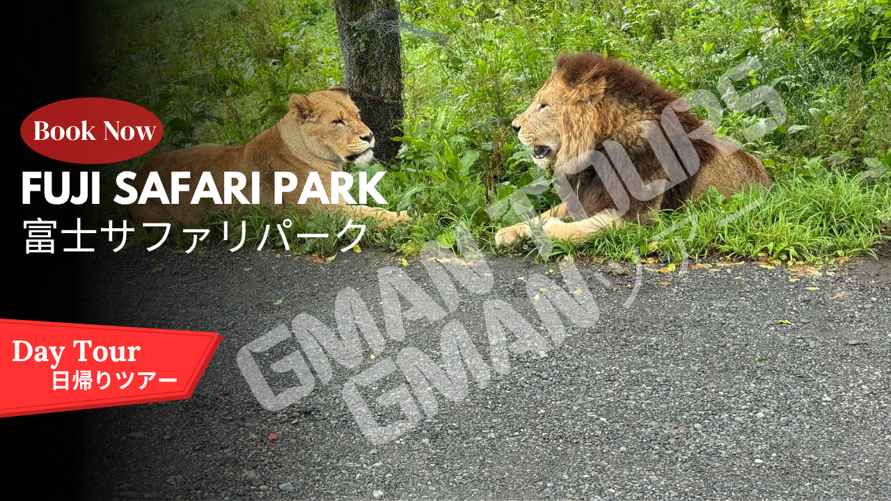 Fuji Safari Park